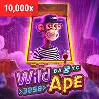 Hoàn trả thể thao và sòng bạc Kubet88