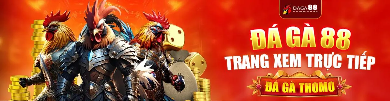 Đá Gà Trực Tuyến Kubet88 Login - Trận đấu kịch tính